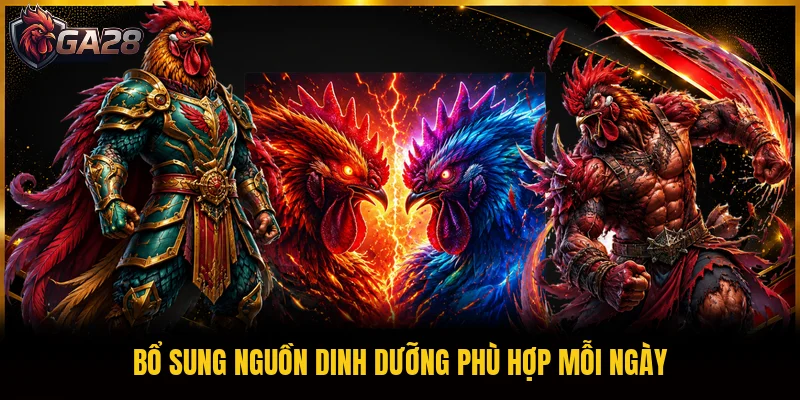 Bổ sung nguồn dinh dưỡng phù hợp mỗi ngày