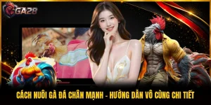 Cách Nuôi Gà Đá Chân Mạnh