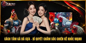 Cách Tắm Gà Đá Cựa