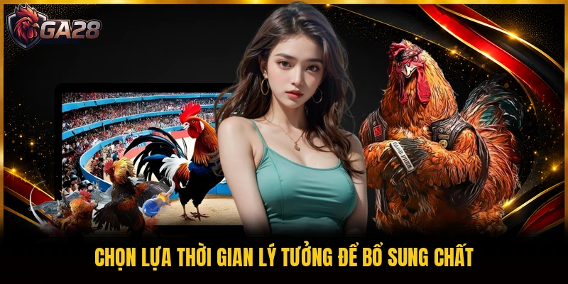 Chọn lựa thời gian lý tưởng để bổ sung chất