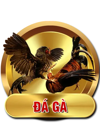 ĐÁ GÀ GA28