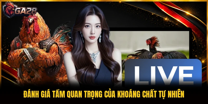 Đánh giá tầm quan trọng của khoáng chất tự nhiên