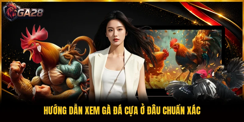 Hướng dẫn xem gà đá cựa ở đâu chuẩn xác
