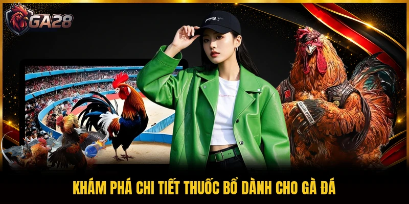 Khám phá chi tiết thuốc bổ dành cho gà đá