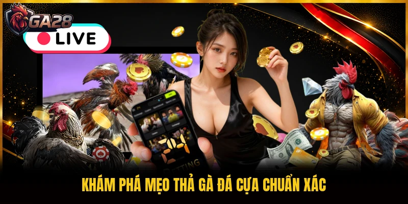 Khám phá mẹo thả gà đá cựa chuẩn xác