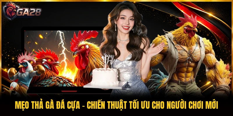 Mẹo Thả Gà Đá Cựa