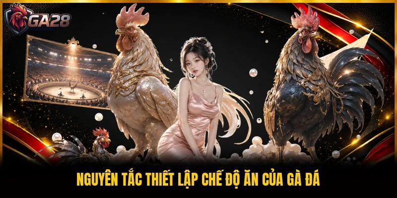 Nguyên tắc thiết lập chế độ ăn của gà đá