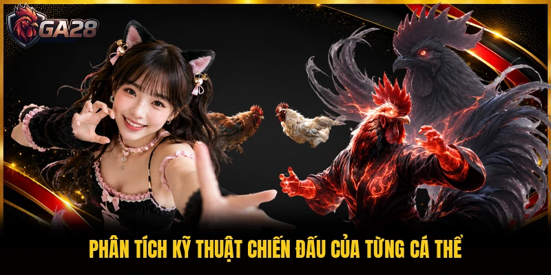 Phân tích kỹ thuật chiến đấu của từng cá thể