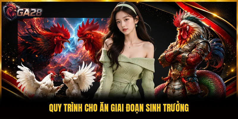Quy trình cho ăn giai đoạn sinh trưởng