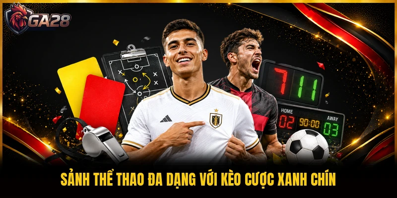 Sảnh thể thao đa dạng với kèo cược xanh chín