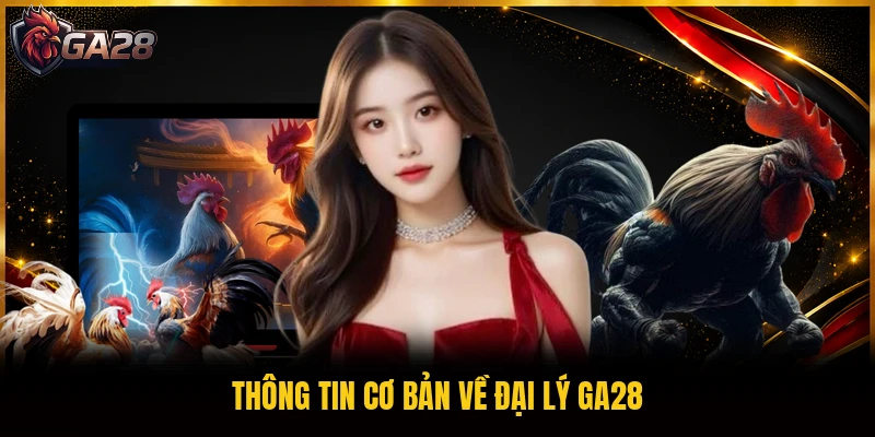 Thông tin cơ bản về đại lý GA28