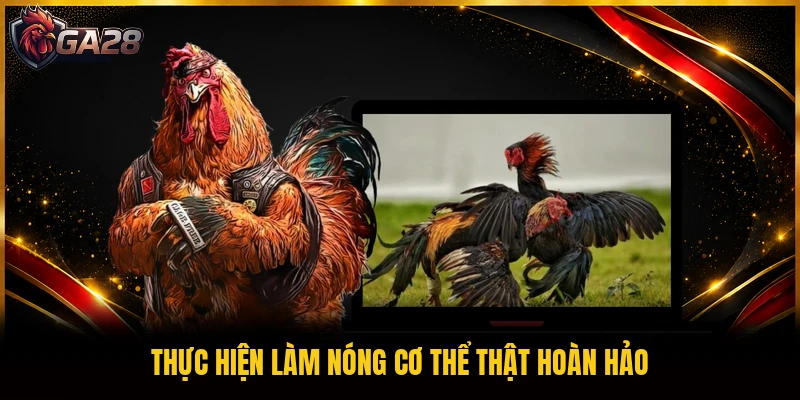 Thực hiện làm nóng cơ thể thật hoàn hảo