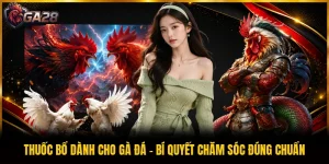 Thuốc Bổ Dành Cho Gà Đá