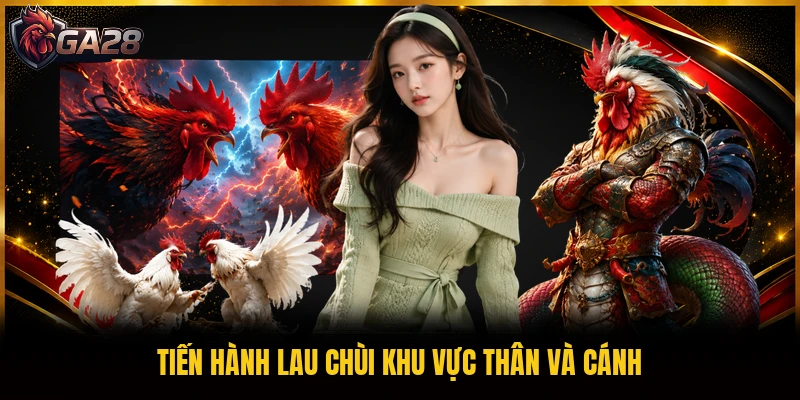 Tiến hành lau chùi khu vực thân và cánh