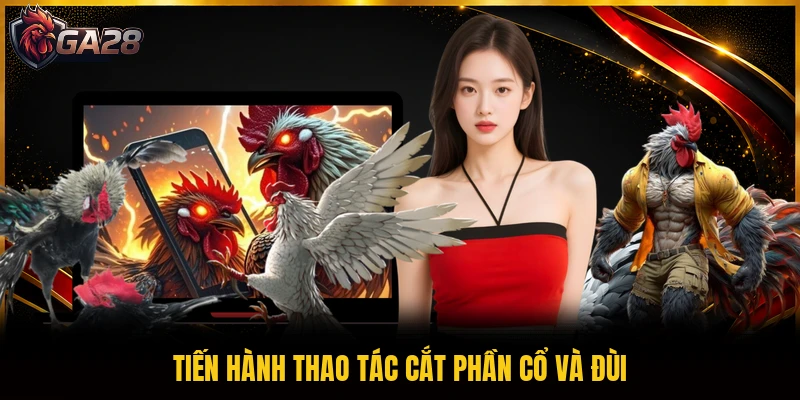 Tiến hành thao tác cắt phần cổ và đùi